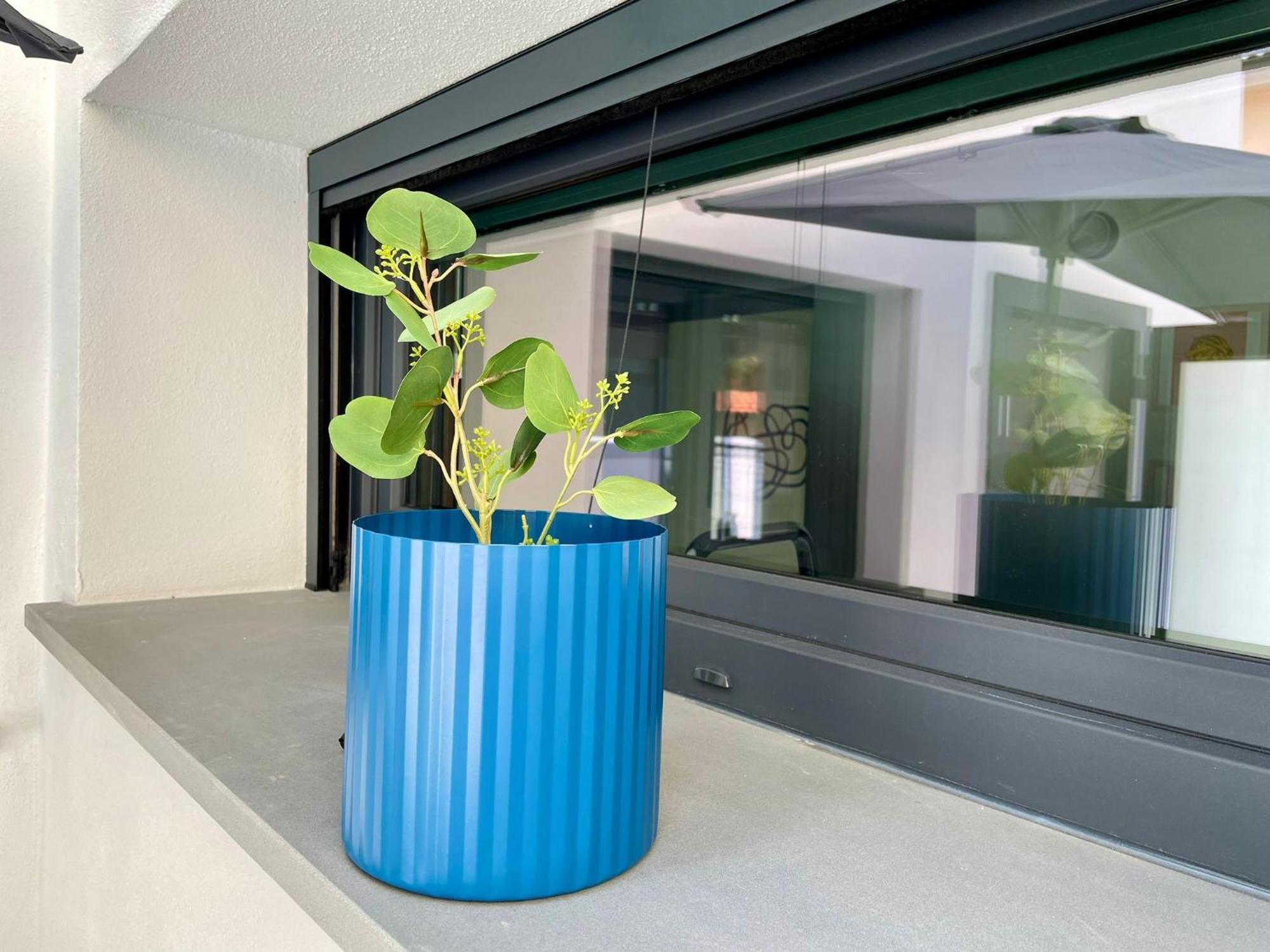 Elisa Apartments B - In Front Of The Walls Of Lucca Bagian luar foto