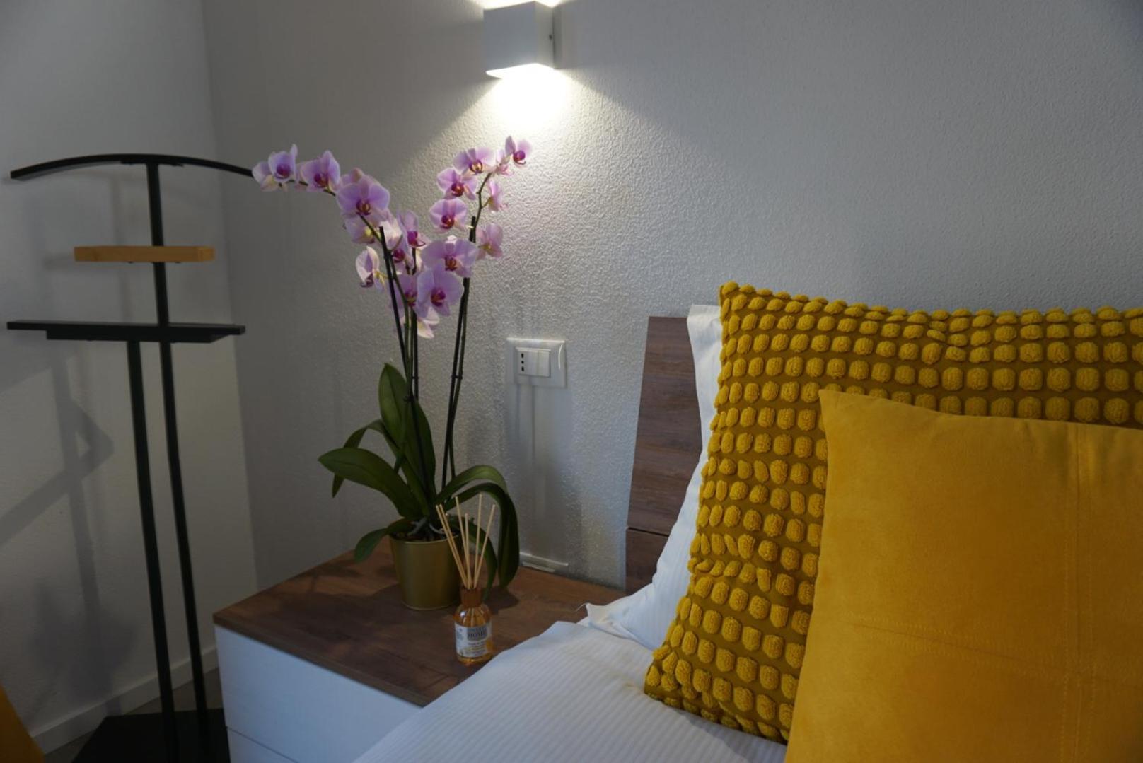 Elisa Apartments B - In Front Of The Walls Of Lucca Bagian luar foto